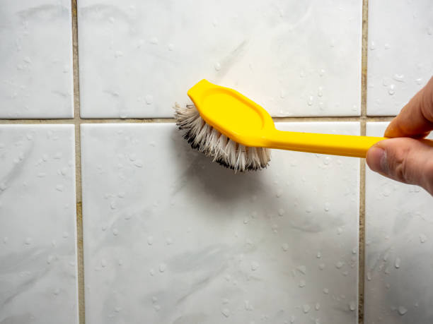 Best Toxic Mold Removal  in Winooski, VT