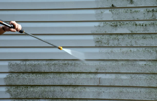 Best Residential Mold Removal  in Winooski, VT
