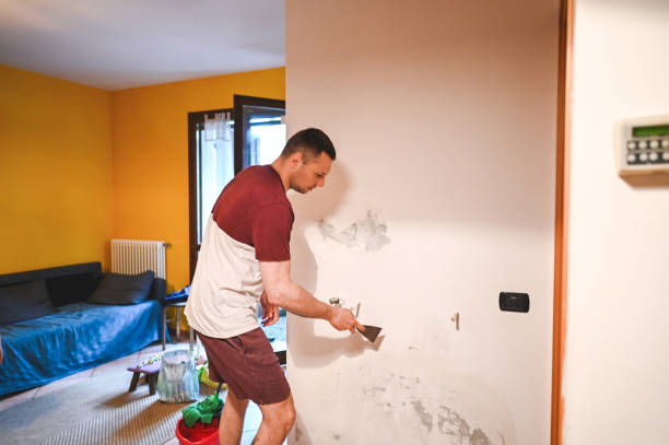 Best Black Mold Removal  in Winooski, VT
