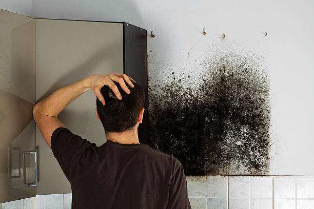 Best Water Damage Restoration  in Winooski, VT