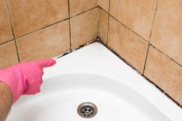 Best Mold Testing  in Winooski, VT